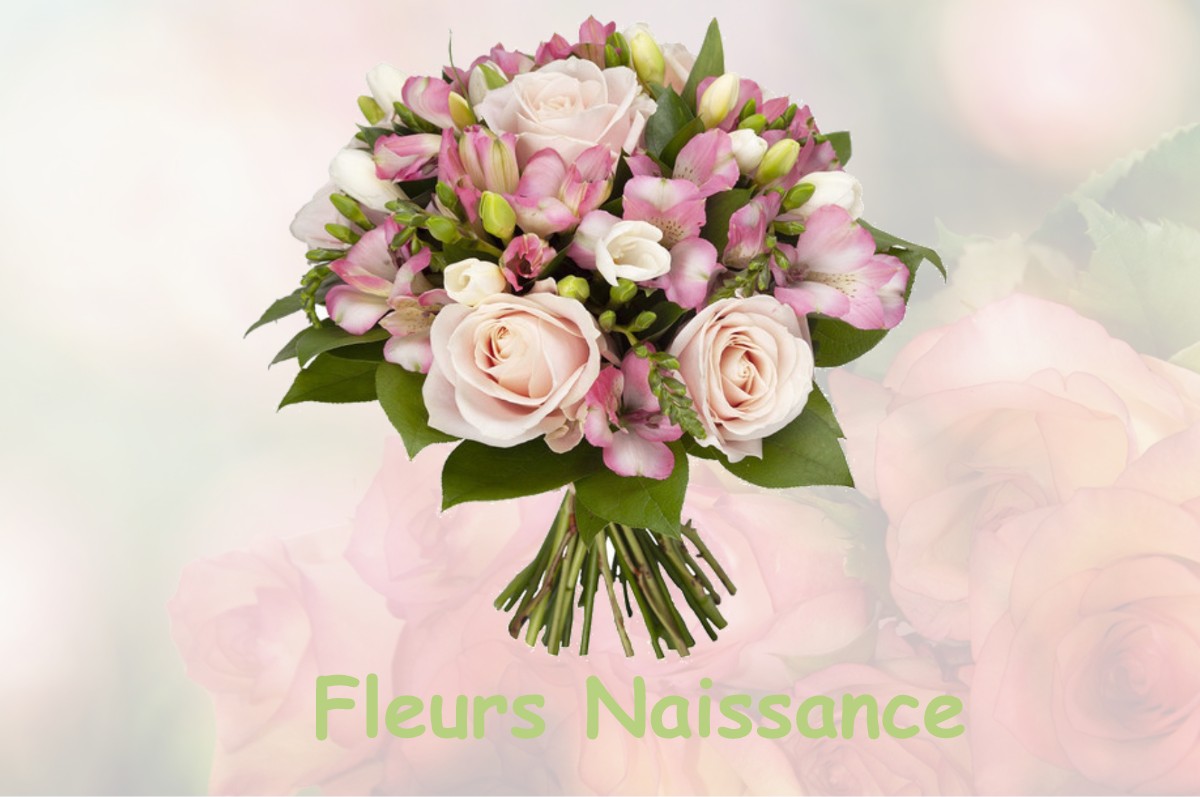 fleurs naissance VERRIERES-LE-BUISSON